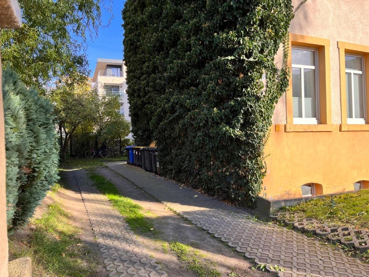 Gemuetliche Oase - Tv, Beamer, Kueche Fuer 4 Personen Dresden Exterior photo